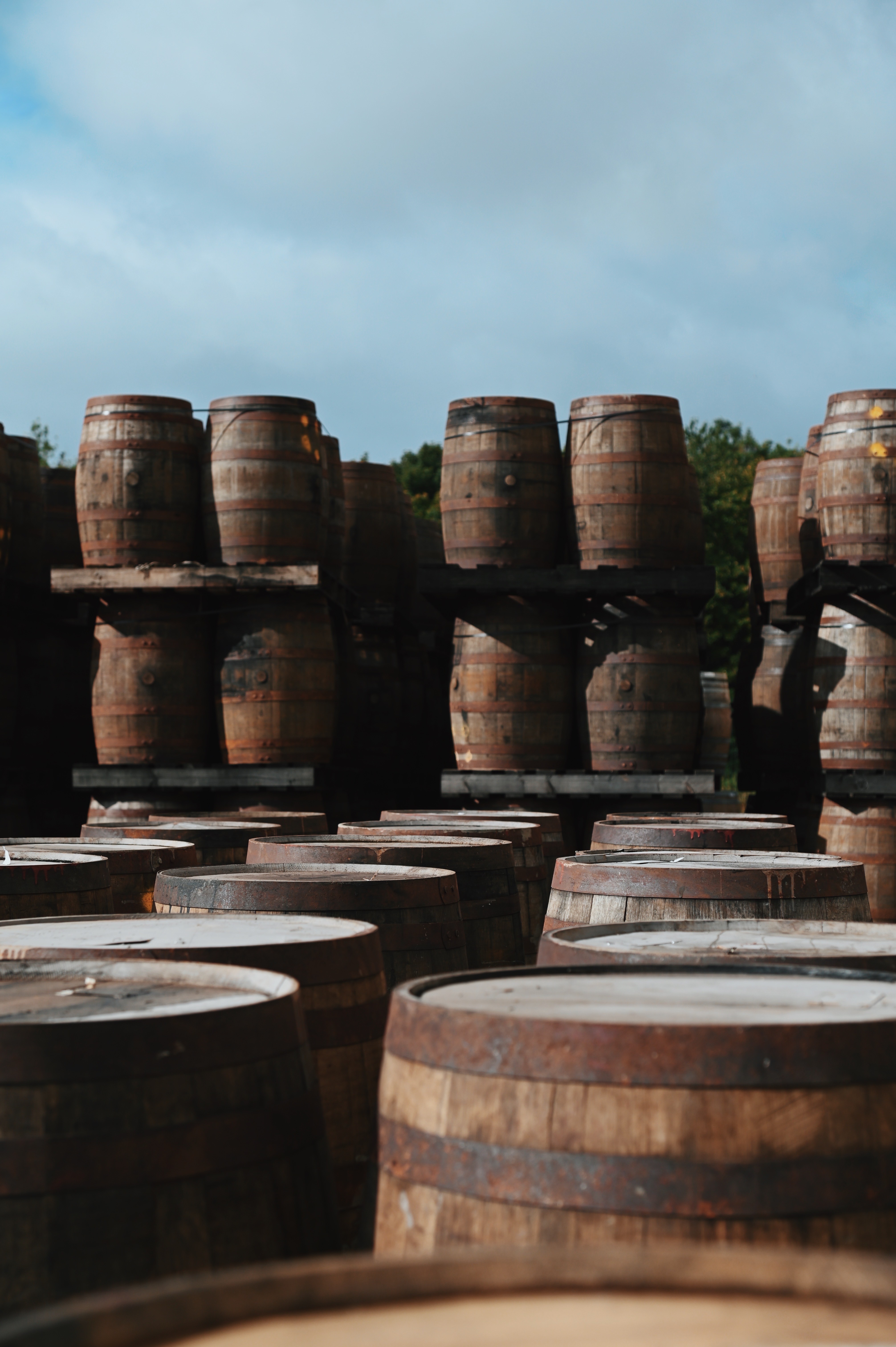 Casks at The Lowland Bond